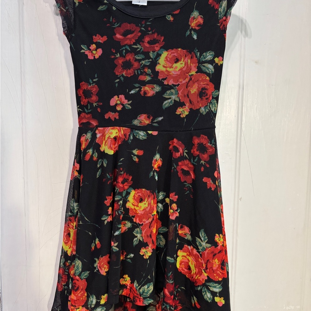 Honey and Lace 2T stretchy tulle rose dress